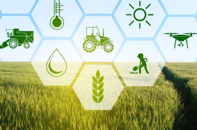 Job opportunities in agriculture