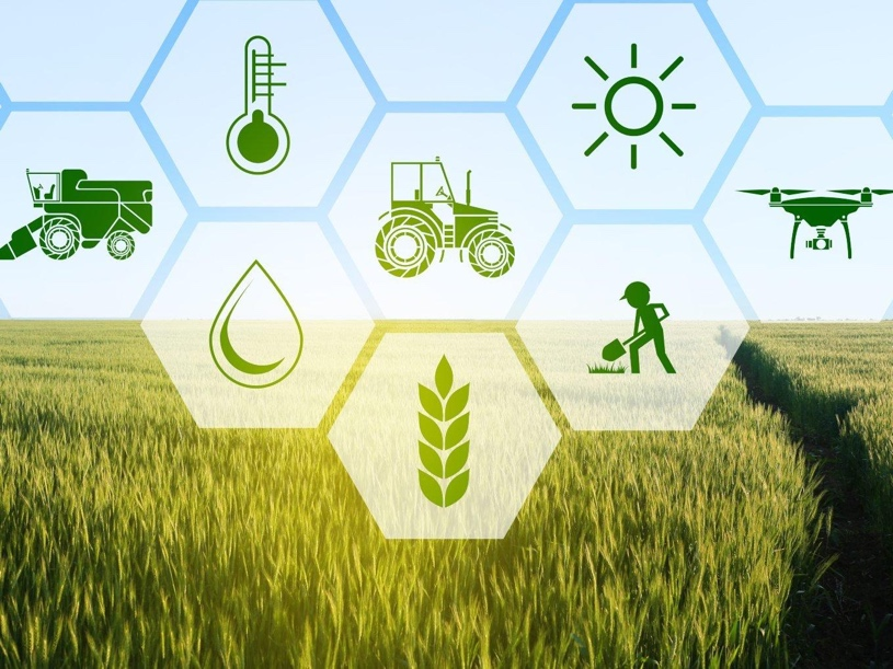 Job opportunities in agriculture